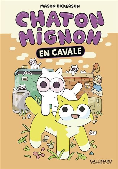 Chaton Mignon
