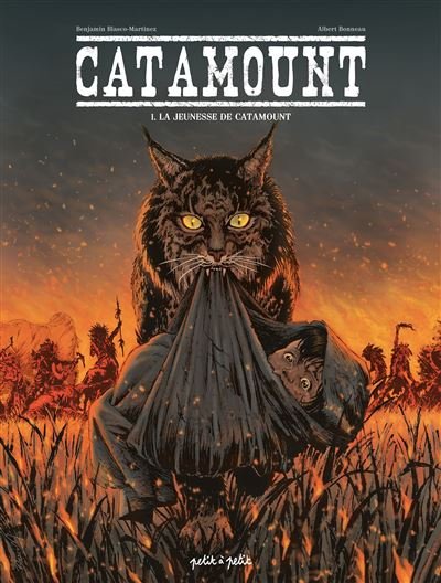 Catamount T1 - la jeunesse de Catamount