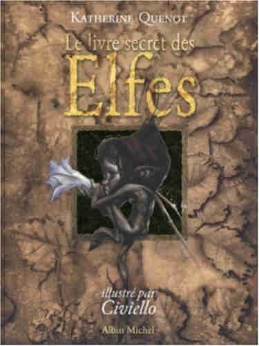 Le Livre secret Tome 1