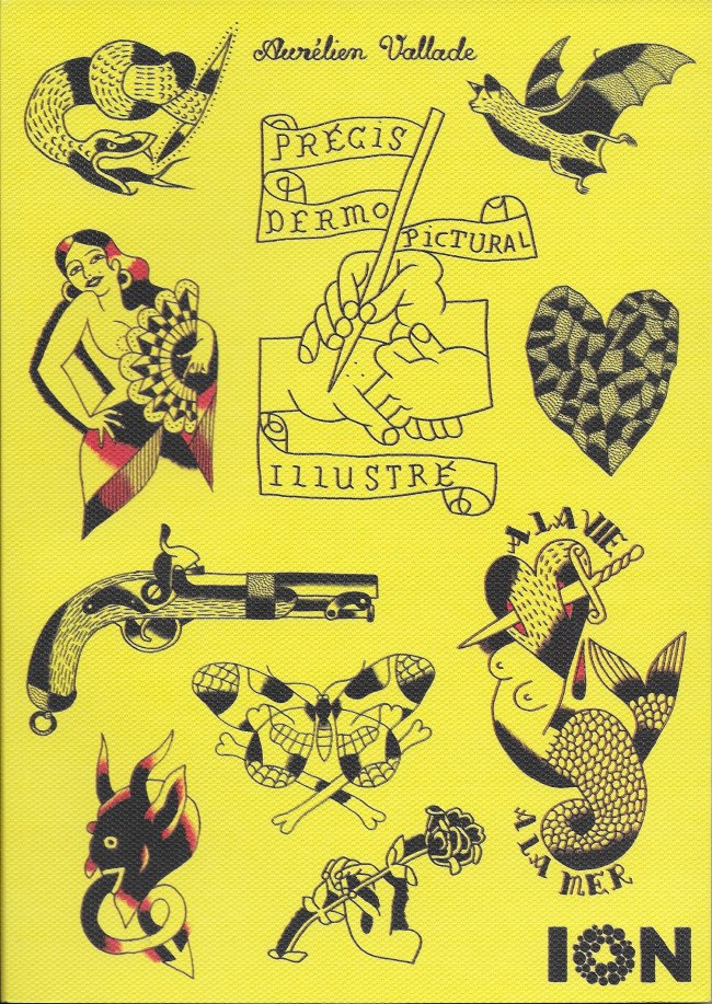 Précis dermo-pictural illustré