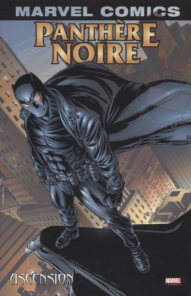 Panthère Noire Tome 4