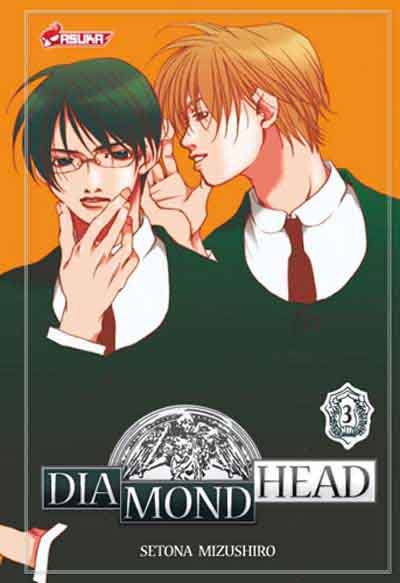 Diamond head 3
